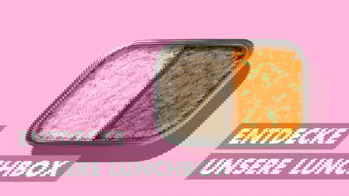 Entdecke unsere Edelstahl Lunchbox